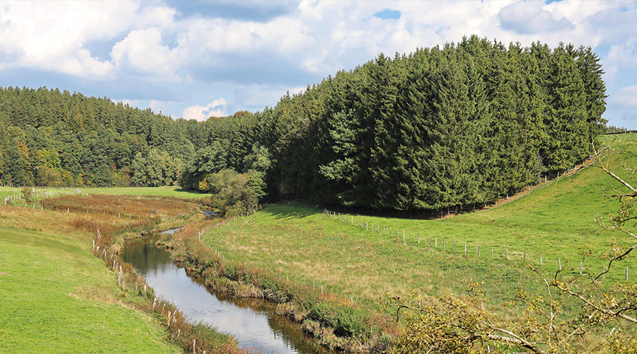 Gemeinde_Butgenbach_900-500_Weywertz04